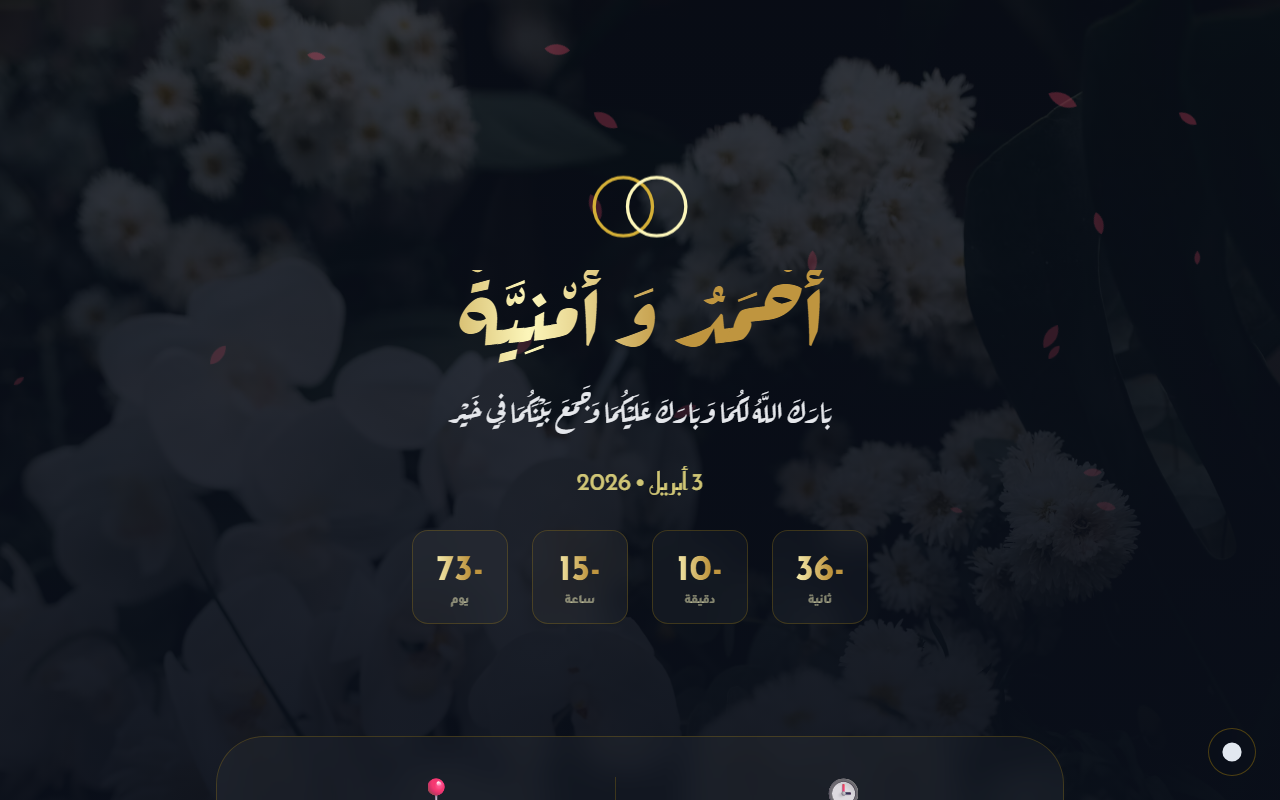 أحمد وأمنية